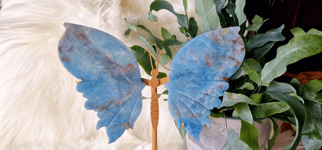 Aquamarine Butterfly Wings with Stand 