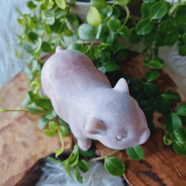 Pink Opal Pig Polished 