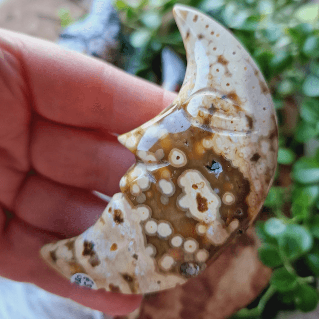 Ocean Jasper Moon Faces 
