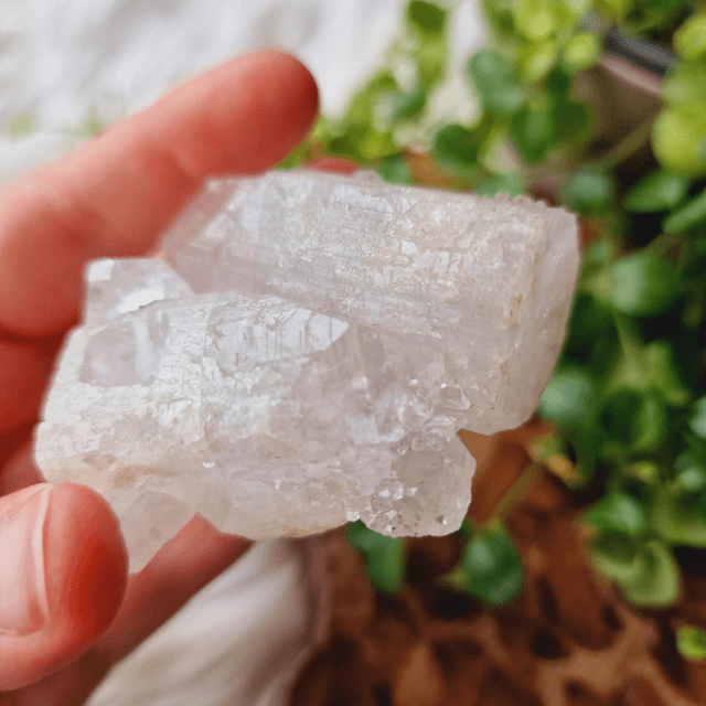 Diamond Apophyllite Cluster 118g