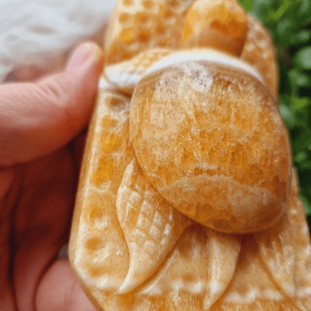 Orange Calcite Hangcarved Turtle Carving 440g