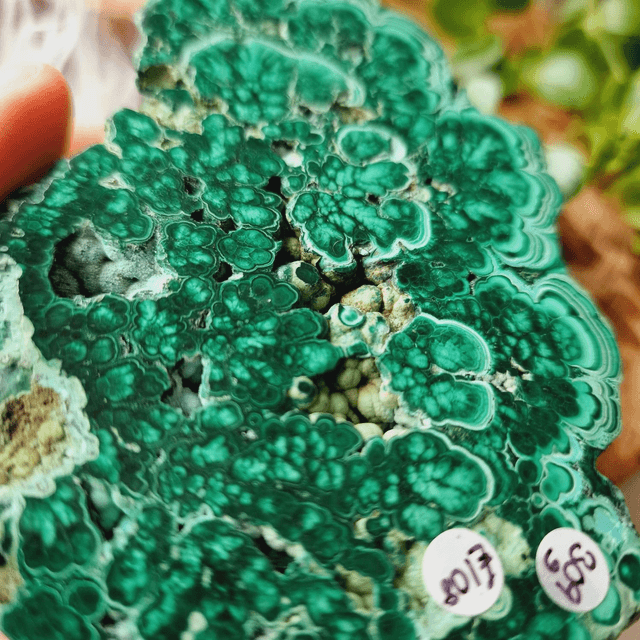 Malachite Slab 310g