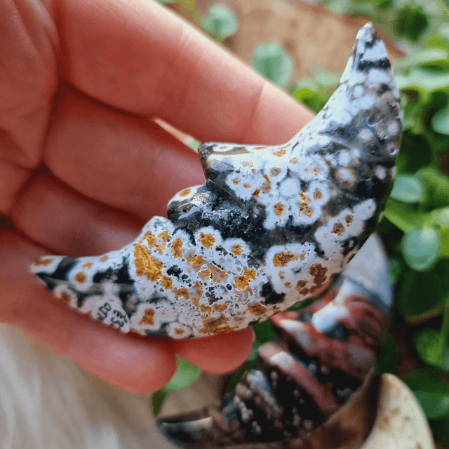 Ocean Jasper Moon Faces 