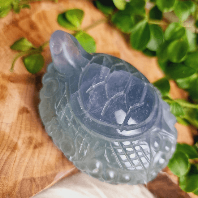 Fluorite Pastel Toned Turtle Carving 