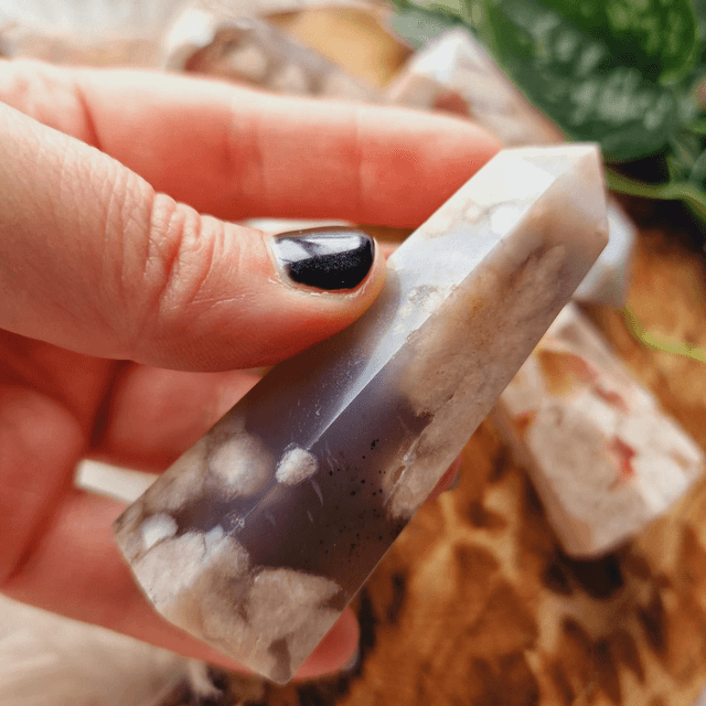 Flower Agate Points 