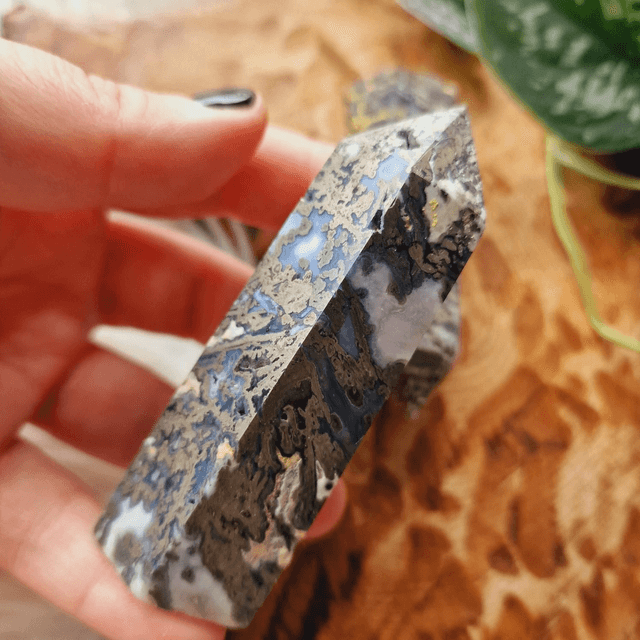 Moss and Pyrite Point 