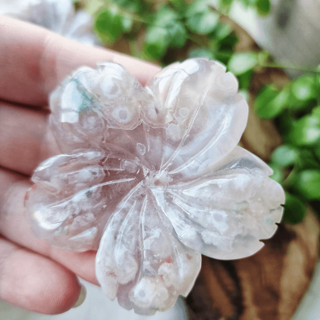 Flower Agate Flower