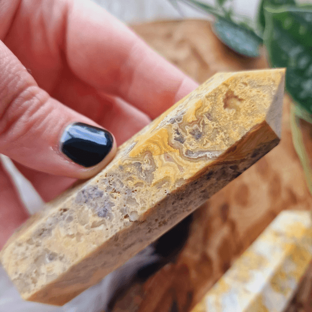 Crazy Lace Agate Point 