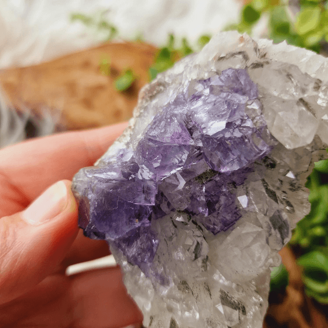 Fluorite and Chlorinated Quartz Cluster 262g