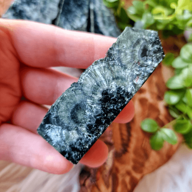 Seraphinite Point 