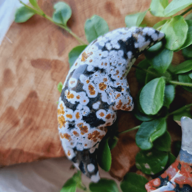 Ocean Jasper Moon Faces 