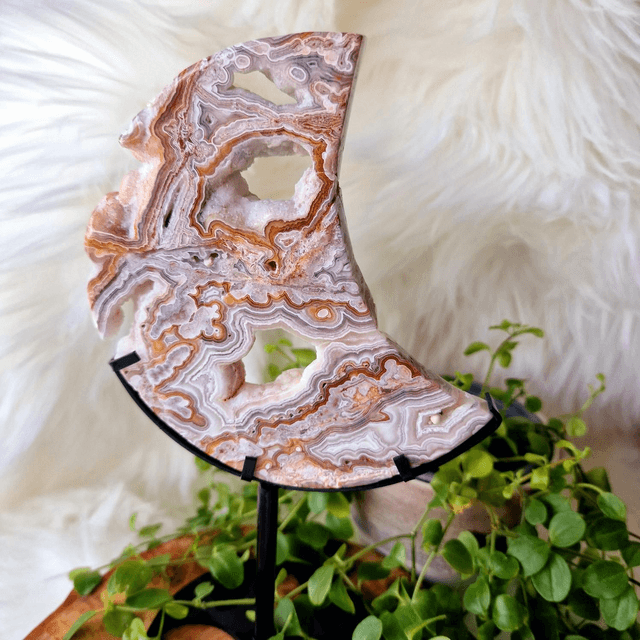 Mexican Crazy Lace moon on stand 