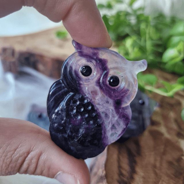Fluorite small owl carving 