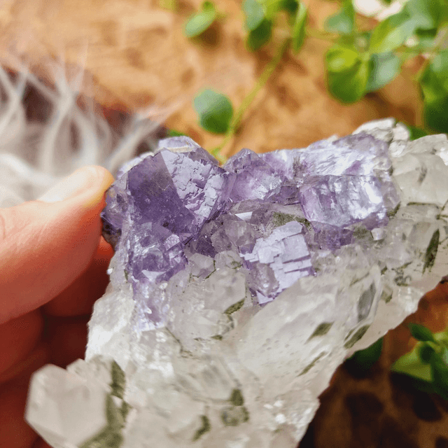 Fluorite and Chlorinated Quartz Cluster 262g