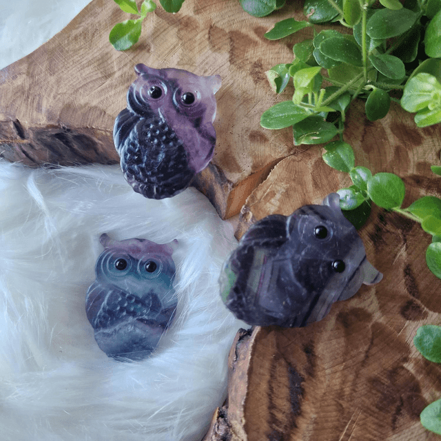 Fluorite small owl carving 