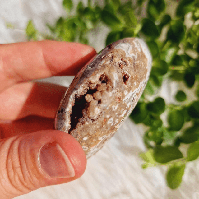 Ocean Jasper Moon
