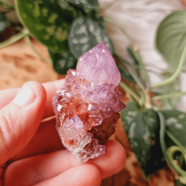 Red Spirit Quartz - RSQ1