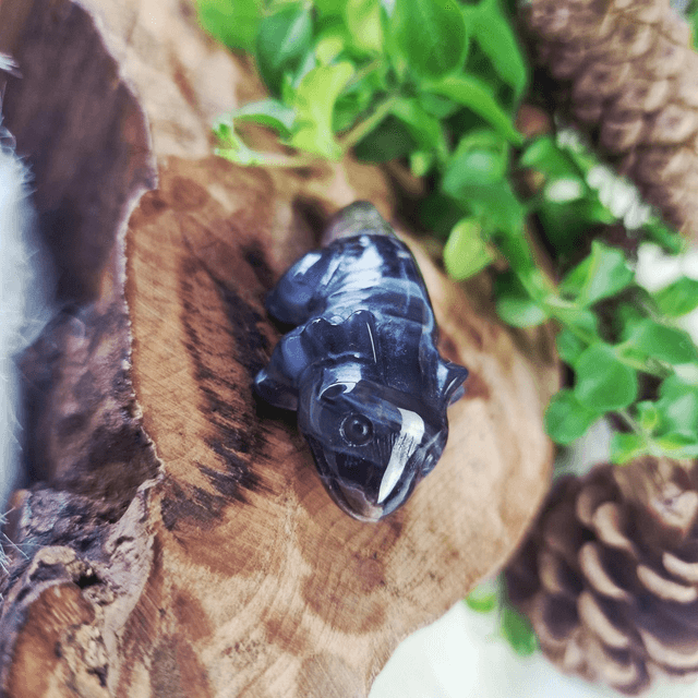 Volcano agate axolotl 