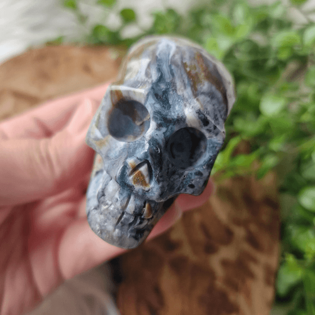 Ocean Jasper skull
