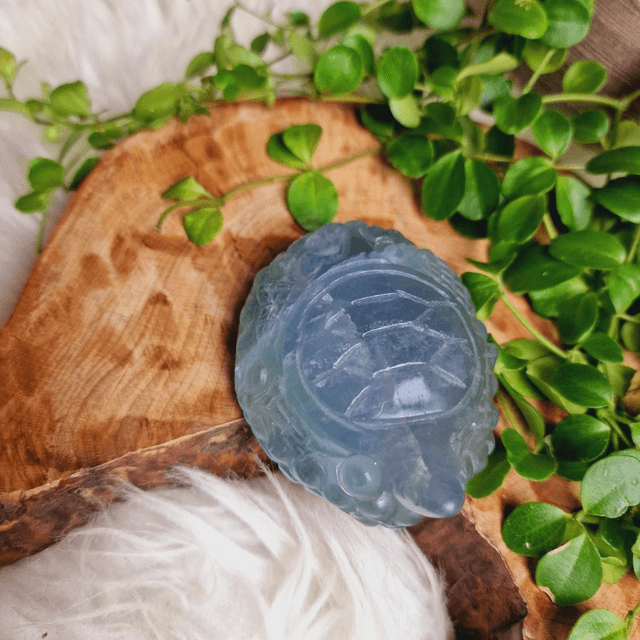 Fluorite Pastel Toned Turtle Carving 