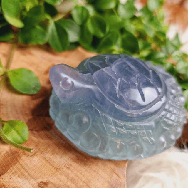 Fluorite Pastel Toned Turtle Carving 