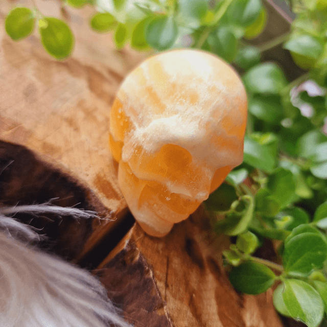 Orange Calcite Small Skull 