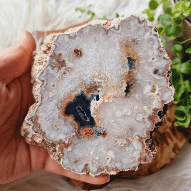 Argentinian Agate Slab 