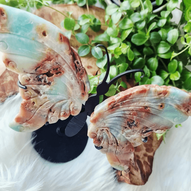 Carribean calcite butterfly wings on stand 173g