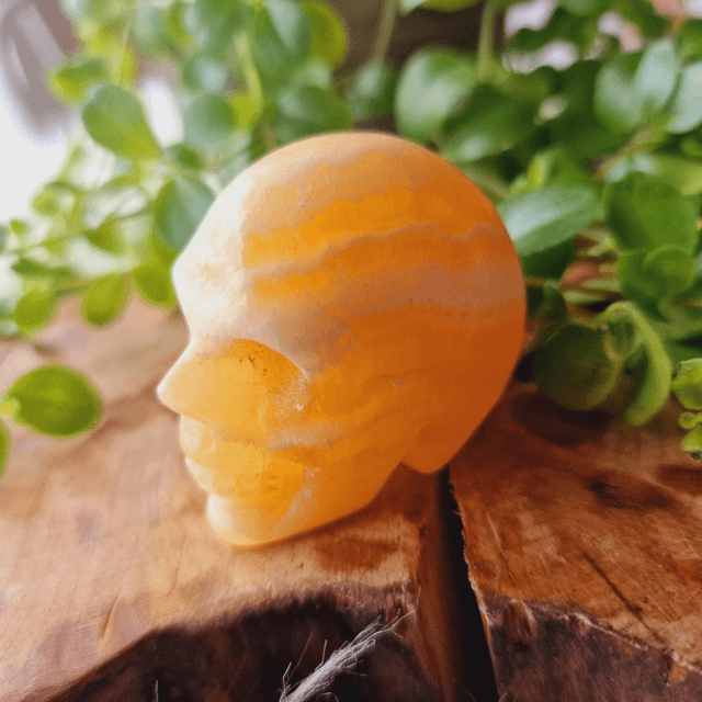 Orange Calcite Small Skull 
