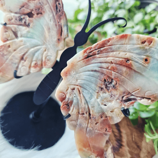 Carribean calcite butterfly wings on stand 173g