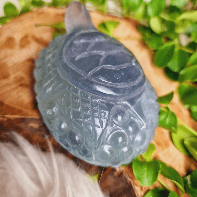 Fluorite Pastel Toned Turtle Carving 
