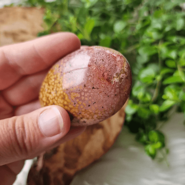 Orbicular Ocean Jasper palm