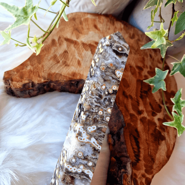Ocean Jasper point 628g