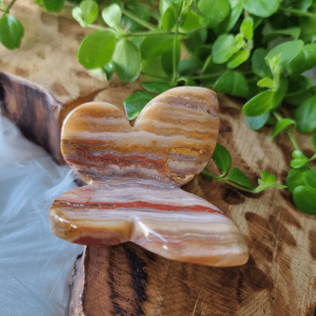 Onyx butterfly 