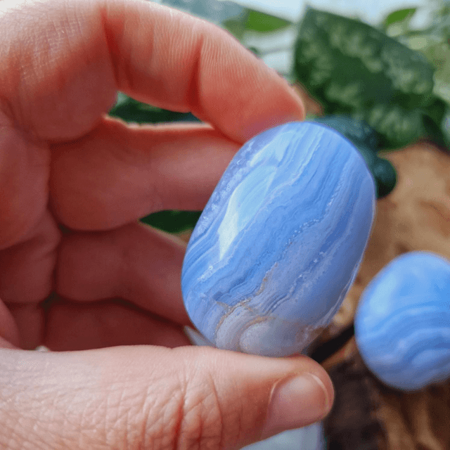 Blue Lace Agate Palm 
