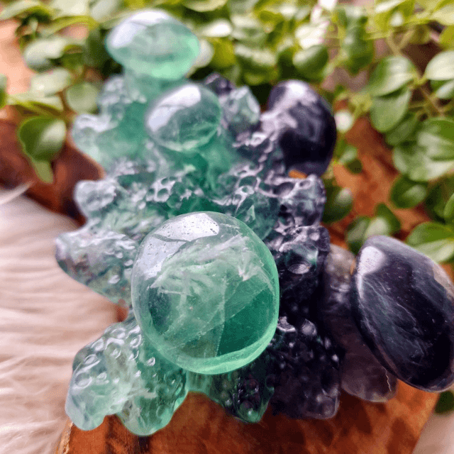 Fluorite Mushrooms Carving 