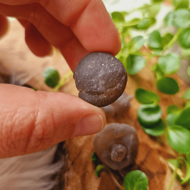 Chalcedony Womb Stone
