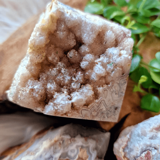 Mexican Crazy Lace Energy Point 228g