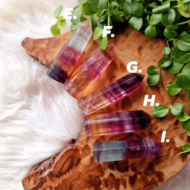 Gummy Fluorite Points