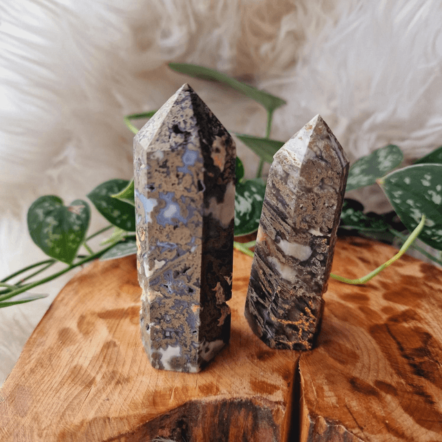 Moss and Pyrite Point 