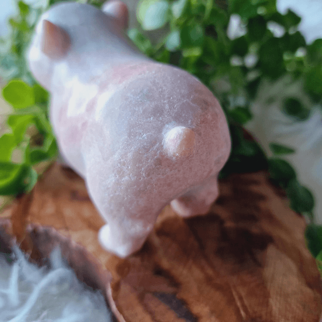 Pink Opal Pig Polished 