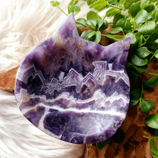 Dream Amethyst Large Cat Bowl 