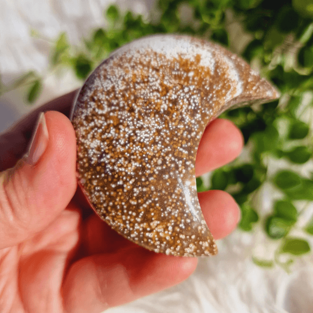 Ocean Jasper Moon