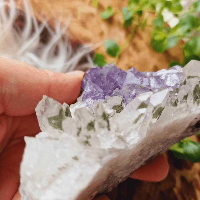Fluorite and Chlorinated Quartz Cluster 262g