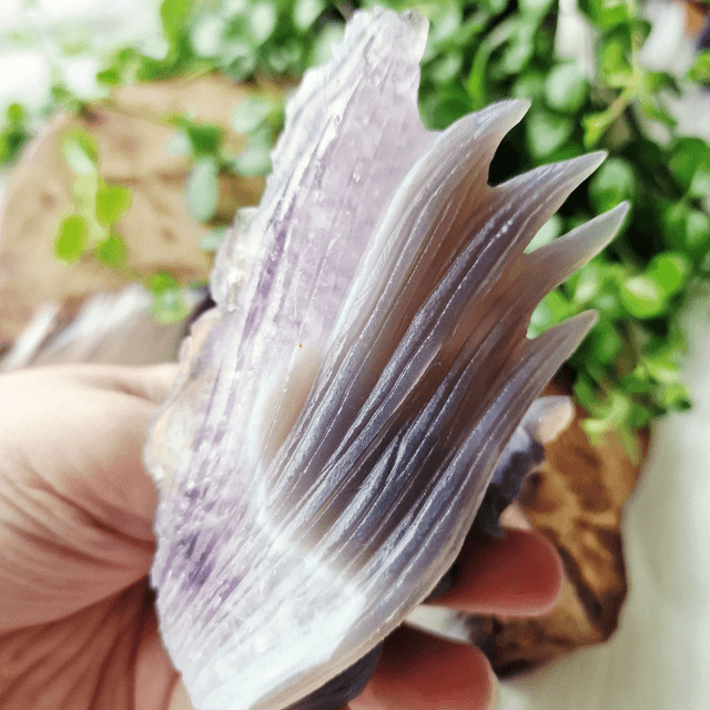 Amethyst Agate fox collectors piece 