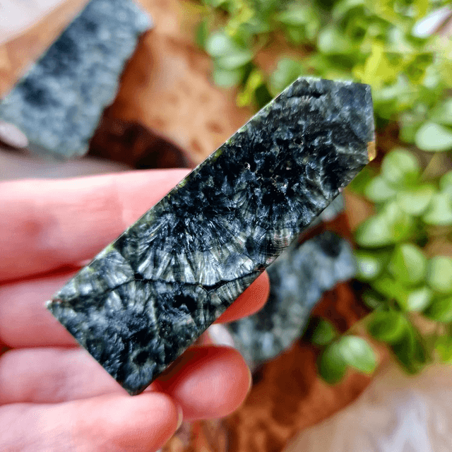 Seraphinite Point 