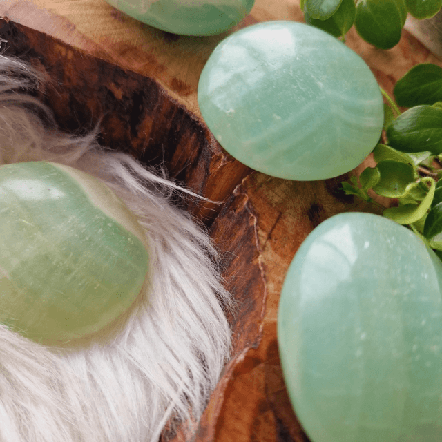 Caribbean Calcite Palm