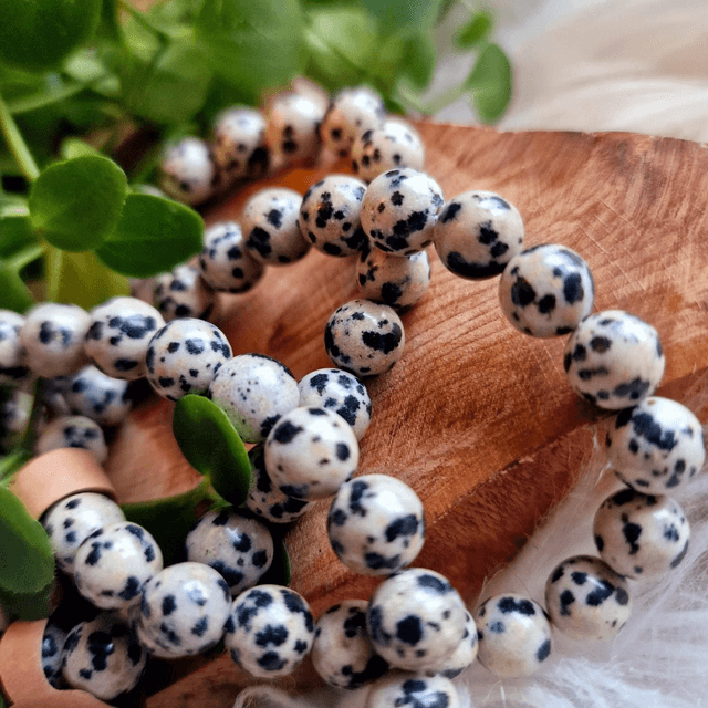 Dalmatian Jasper 8mm Beaded Bracelet 