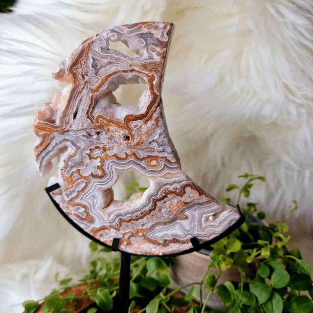 Mexican Crazy Lace moon on stand 