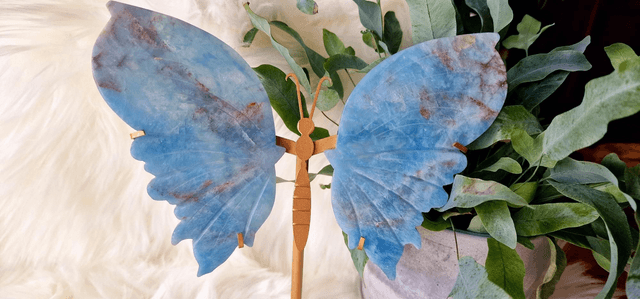 Aquamarine Butterfly Wings with Stand 